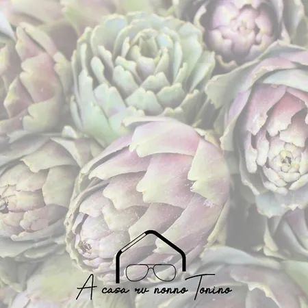 A Casa Ru Nonno Tonino בית הארחה