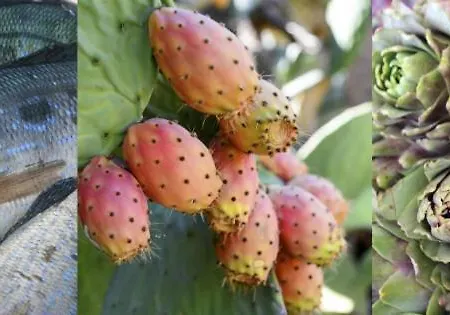 בית הארחה A Casa Ru Nonno Tonino 4*