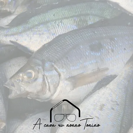 A Casa Ru Nonno Tonino ולדריצ'ה