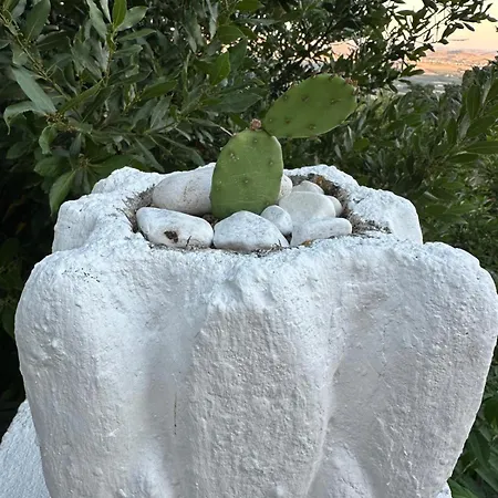 A Casa Ru Nonno Tonino בית הארחה